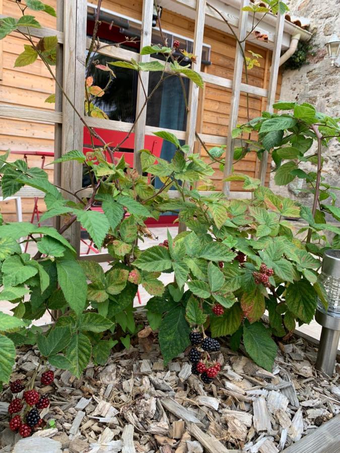 La Basse Monniere Bed & Breakfast Sevremont Exterior photo